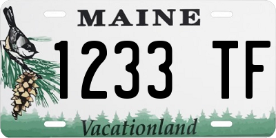 ME license plate 1233TF