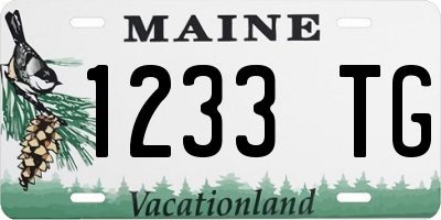 ME license plate 1233TG