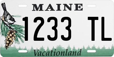 ME license plate 1233TL