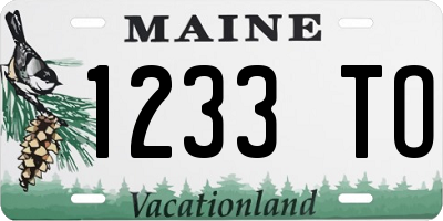 ME license plate 1233TO