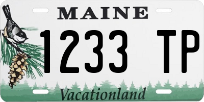 ME license plate 1233TP
