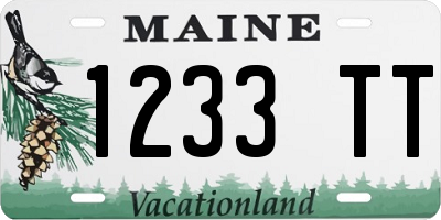 ME license plate 1233TT