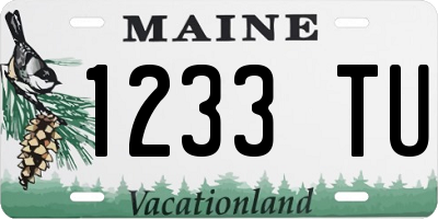 ME license plate 1233TU