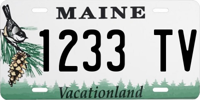 ME license plate 1233TV