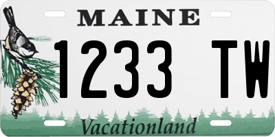 ME license plate 1233TW