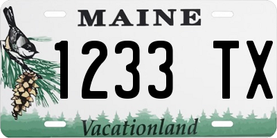 ME license plate 1233TX