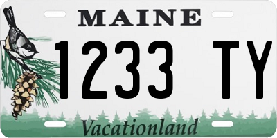ME license plate 1233TY