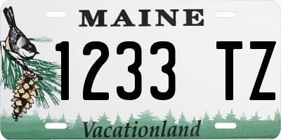 ME license plate 1233TZ