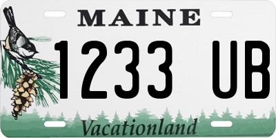ME license plate 1233UB