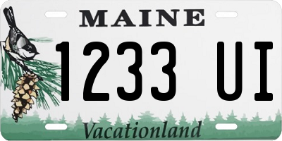 ME license plate 1233UI