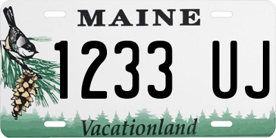 ME license plate 1233UJ