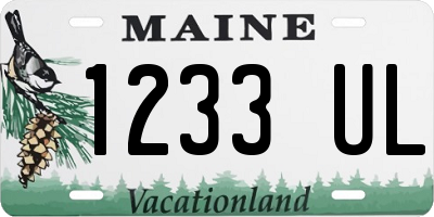 ME license plate 1233UL