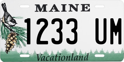 ME license plate 1233UM