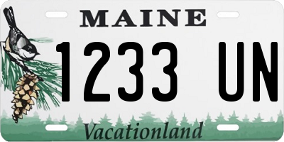 ME license plate 1233UN