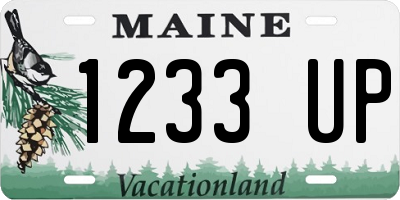 ME license plate 1233UP