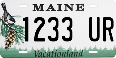 ME license plate 1233UR