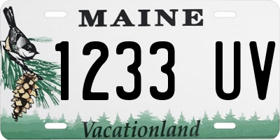 ME license plate 1233UV