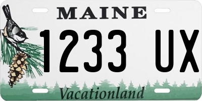 ME license plate 1233UX