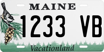 ME license plate 1233VB