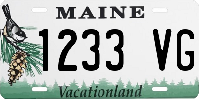 ME license plate 1233VG