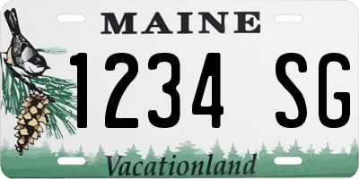 ME license plate 1234SG