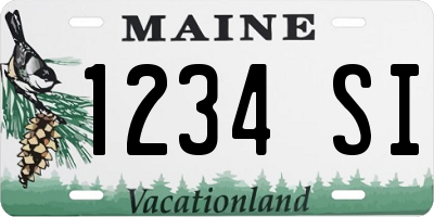 ME license plate 1234SI