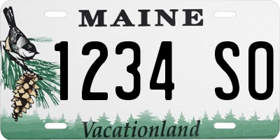 ME license plate 1234SO