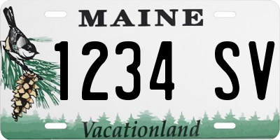 ME license plate 1234SV