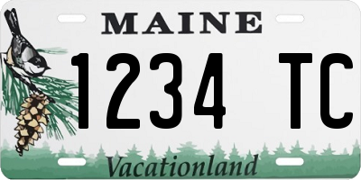 ME license plate 1234TC