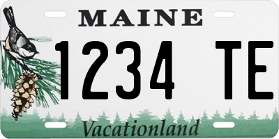 ME license plate 1234TE