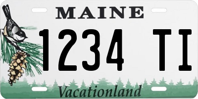 ME license plate 1234TI