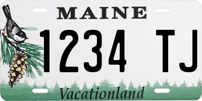ME license plate 1234TJ