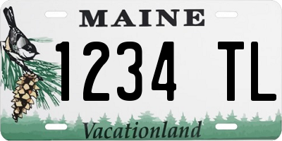ME license plate 1234TL