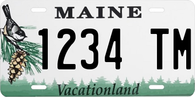 ME license plate 1234TM