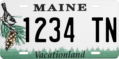 ME license plate 1234TN