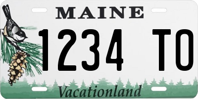ME license plate 1234TO