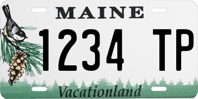 ME license plate 1234TP