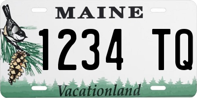 ME license plate 1234TQ