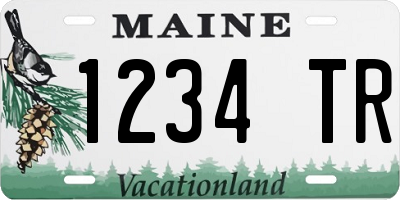 ME license plate 1234TR
