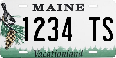ME license plate 1234TS