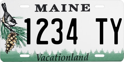 ME license plate 1234TY