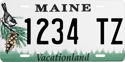 ME license plate 1234TZ