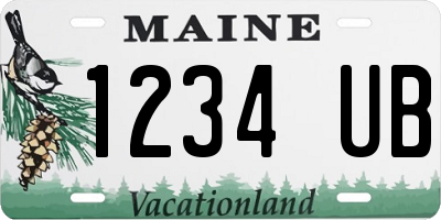 ME license plate 1234UB