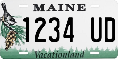 ME license plate 1234UD