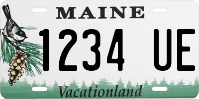 ME license plate 1234UE