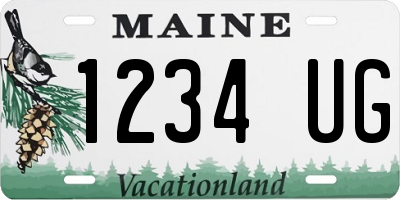 ME license plate 1234UG
