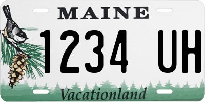 ME license plate 1234UH