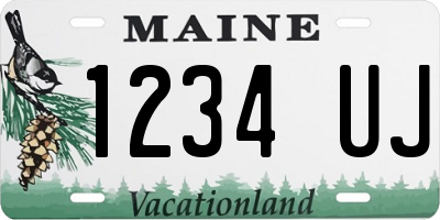 ME license plate 1234UJ