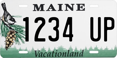 ME license plate 1234UP