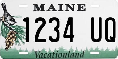 ME license plate 1234UQ